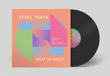 Rebel Youth - What is soul? (30th anniversary remixes)