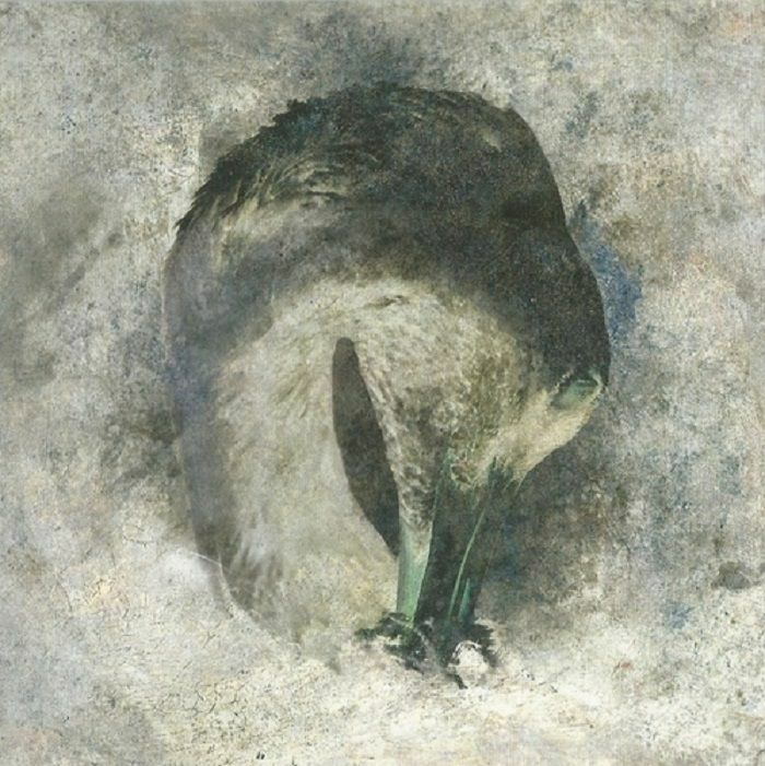 Suma - Ashes [20th Anniversary Edition]