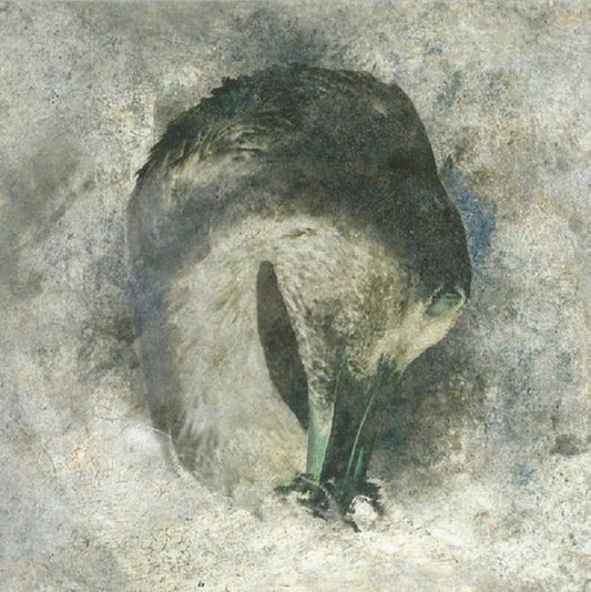 Suma - Ashes [20th Anniversary Edition]