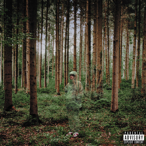 grandson - I Love You, I m Trying [CD]