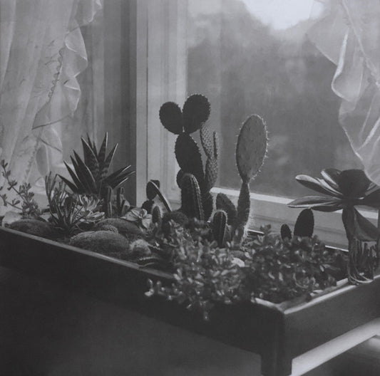 Turinn - 18 1/2 Minute Gaps