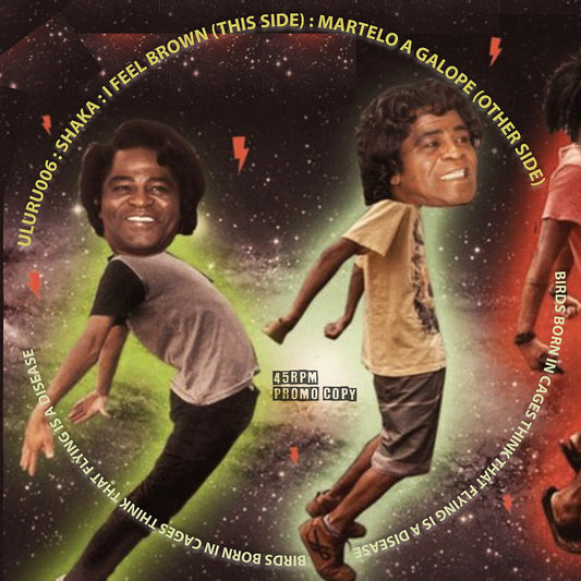 SHAKA - I Feel Brown / Martelo a Galope