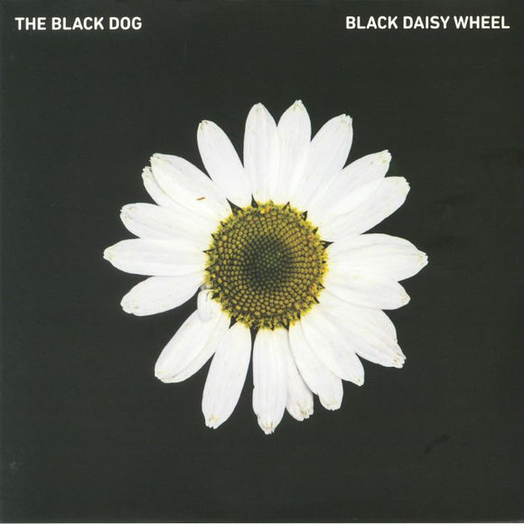 The BLACK DOG - Black Daisy Wheel