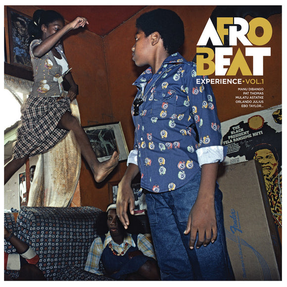 Various Artists - Afrobeat Experience Vol. 1