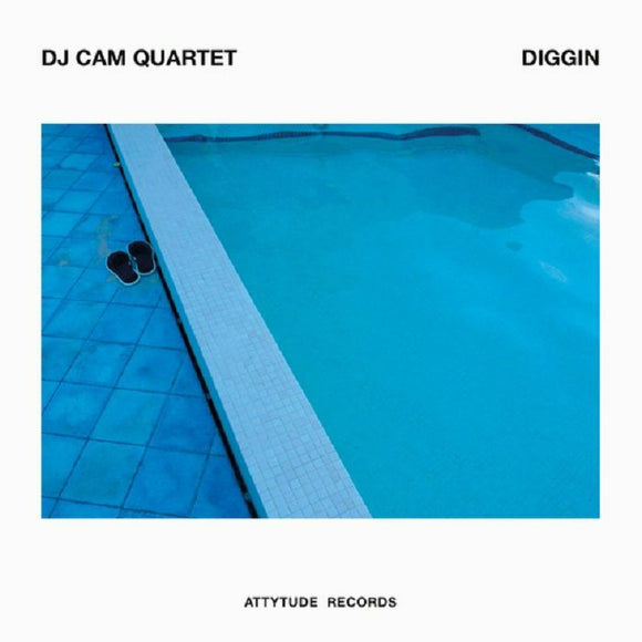 DJ CAM - DIGGIN (RSD 2022)
