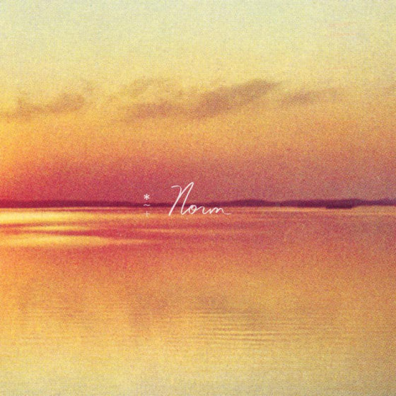 Andy Shauf - Norm [LP]