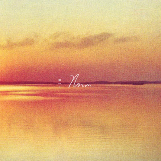 Andy Shauf - Norm [LP]