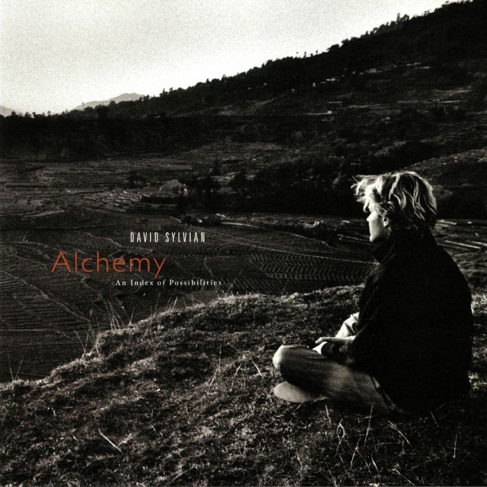 DAVID SYLVIAN - Alchemy: An Index Of Possibilities