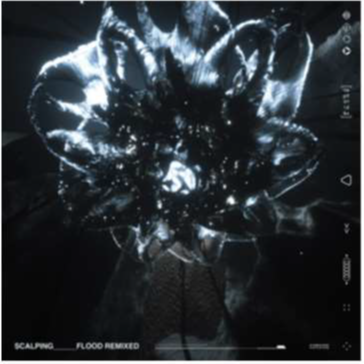 SCALPING - Flood Remixed
