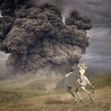 The White Buffalo - Year of the Dark Horse [Black LP]