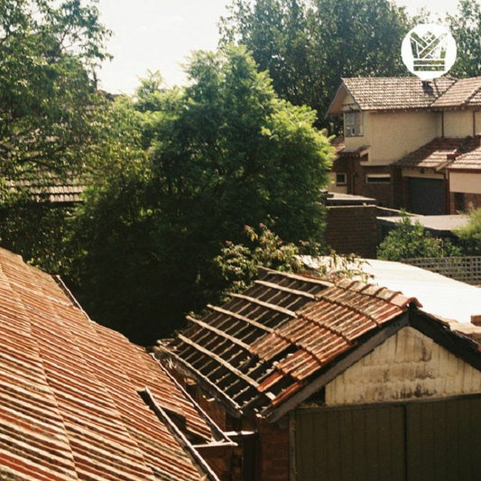 Surprise Chef - Money Music b/w Suburban Breeze