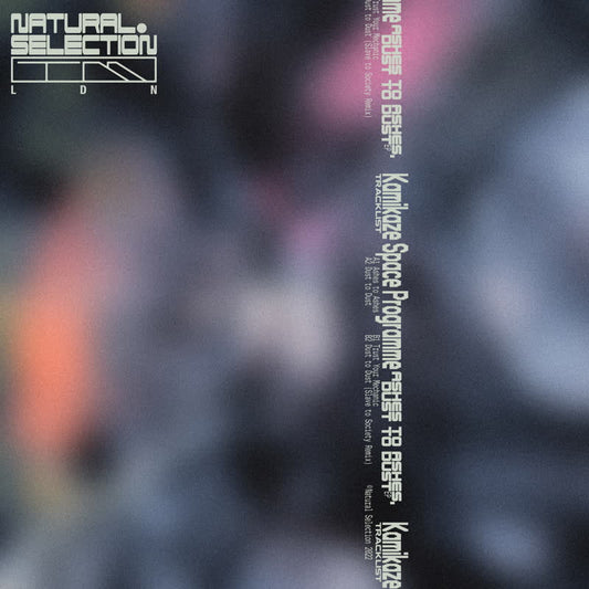 Kamikaze Space Programme - Ashes To Ashes, Dust To Dust EP