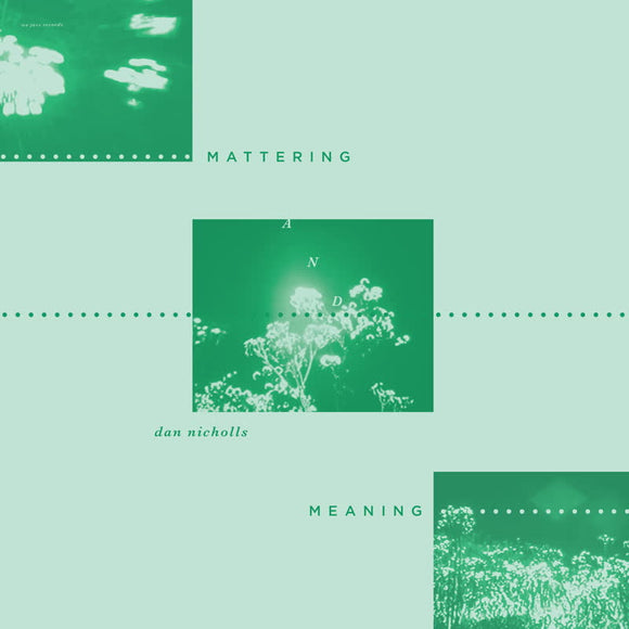 Dan Nicholls - Mattering and Meaning [LP]