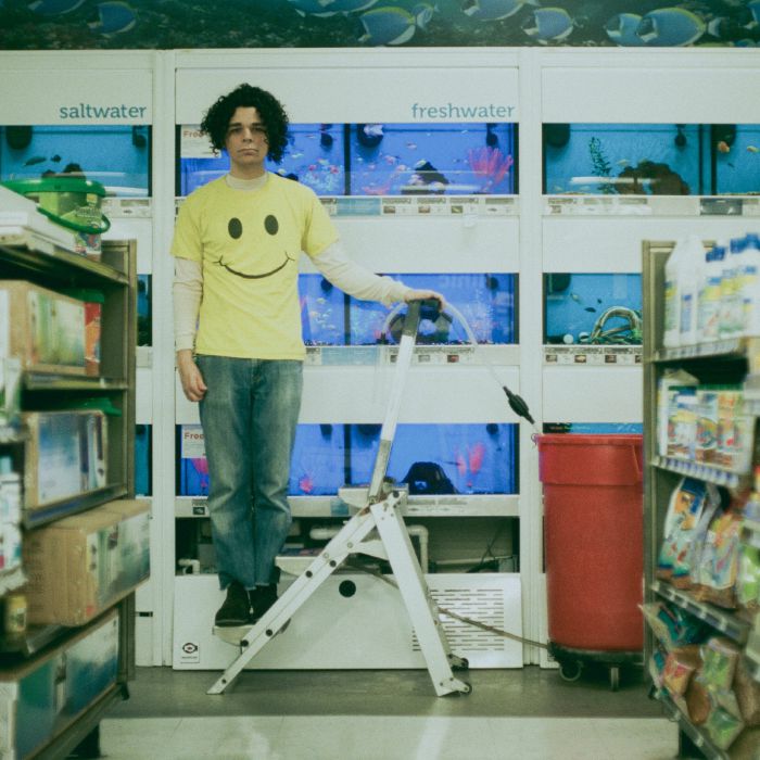 Charlie Hickey - Count the Stairs [LP]