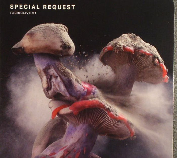 SPECIAL REQUEST / VARIOUS - Fabriclive 91