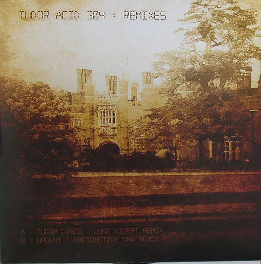 Tudor Acid- Luke Vibert & Radioactive Man Remixes