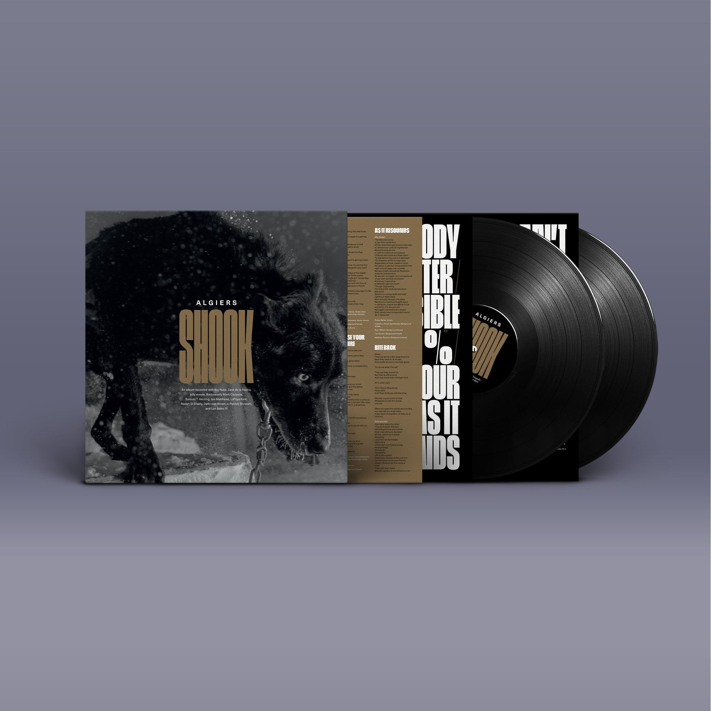 Algiers - Shook [2LP]