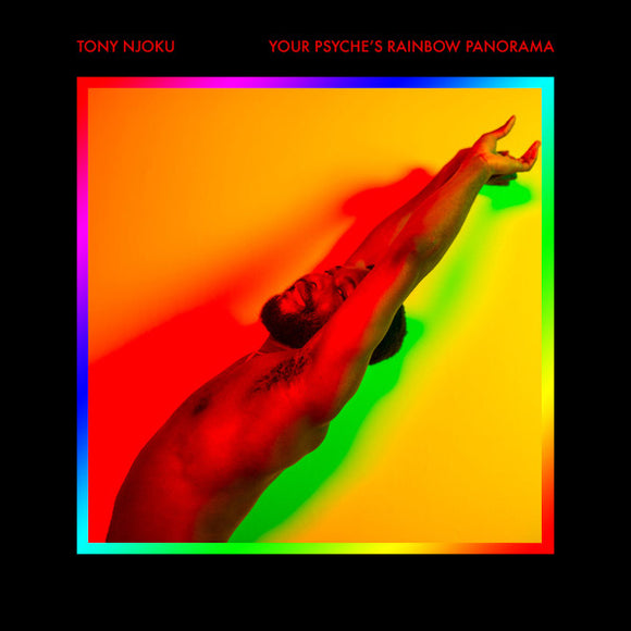 TONY NJOKU - YOUR PSYCHES RAINBOW PANORAMA