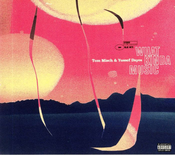 Tom MISCH / YUSSEF DAYES - What Kinda Music [CD]