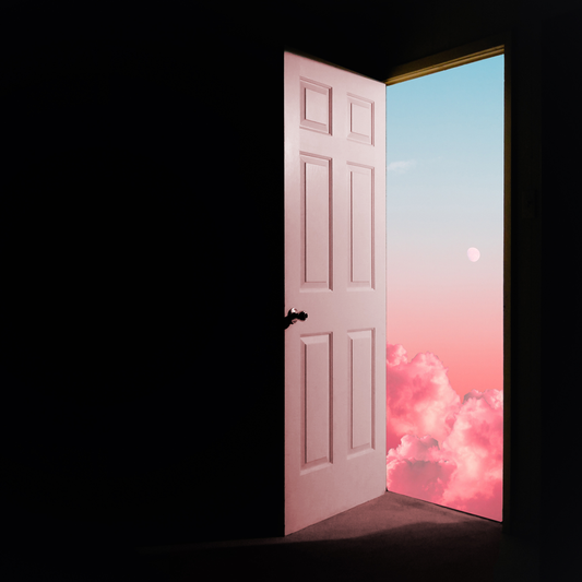 The Lottery Winners - Something To Leave The House For [Pink LP]