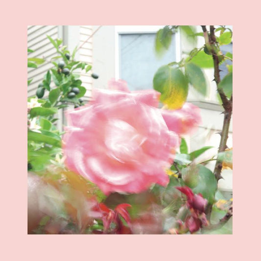 THE REDS, PINKS AND PURPLES - SUMMER AT LAND'S END [Dinked edition Mellow Yellow coloured vinyl] (Out of Stock)