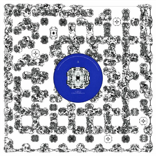 BAMBOUNOU X BRUCE - FINAL CONFERENCE