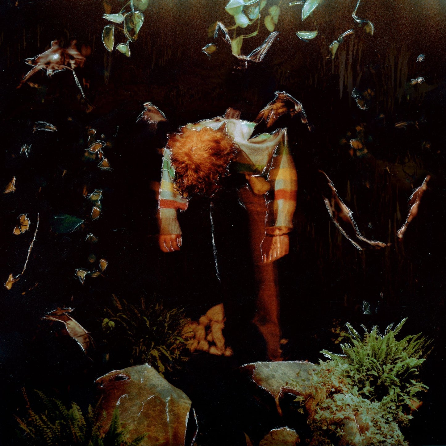 Cavetown - Worm Food [CD Jewelcase]