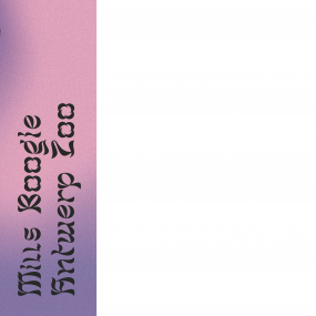 MILLS BOOGIE - ANTWERP ZOO