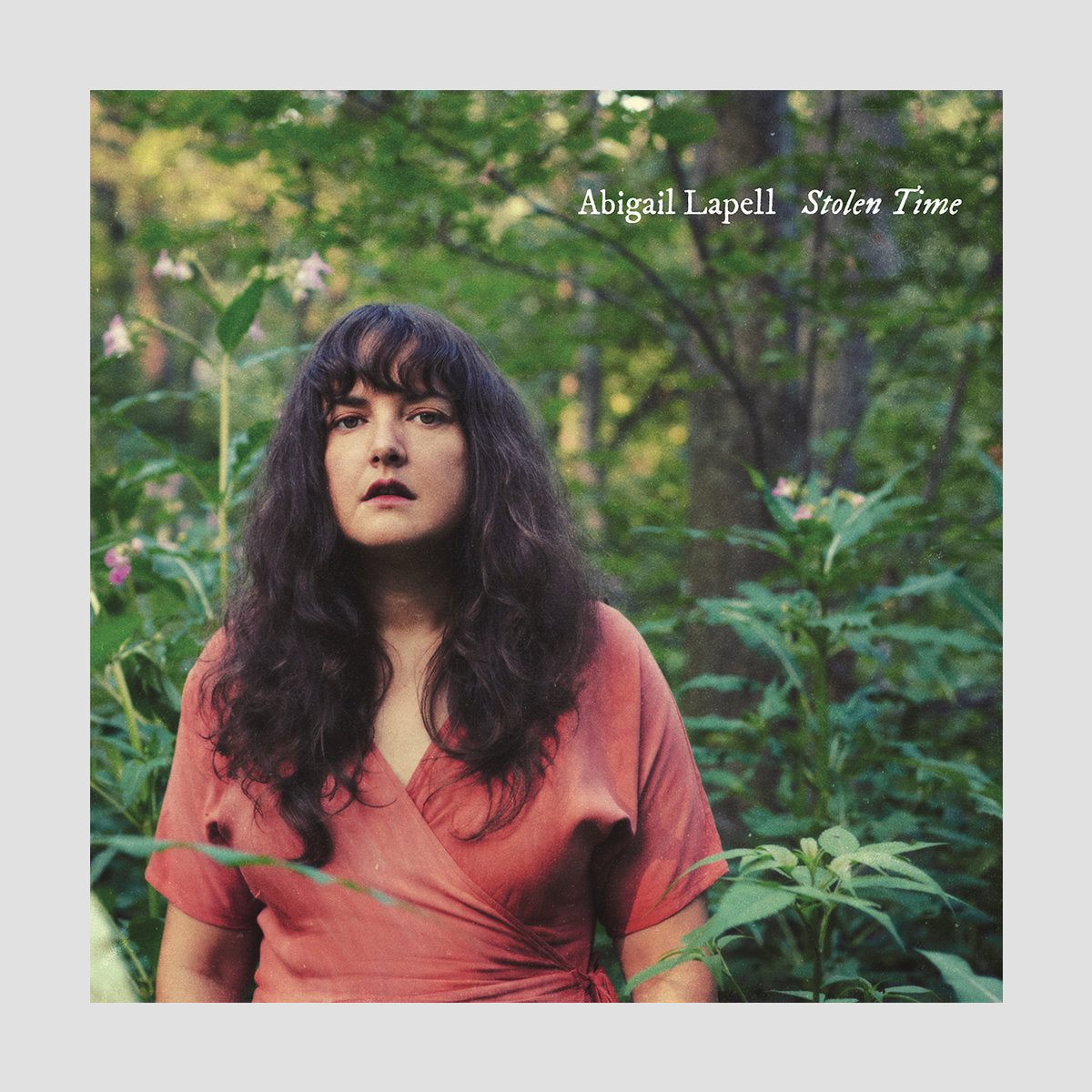 Abigail Lapell - Stolen Time