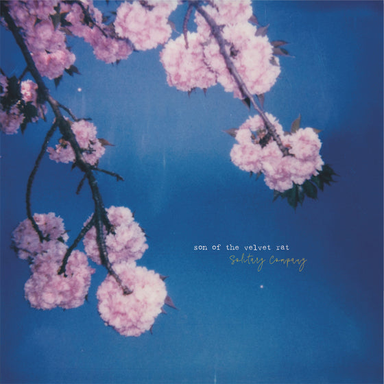 Son Of The Velvet Rat - Solitary Company [CD]