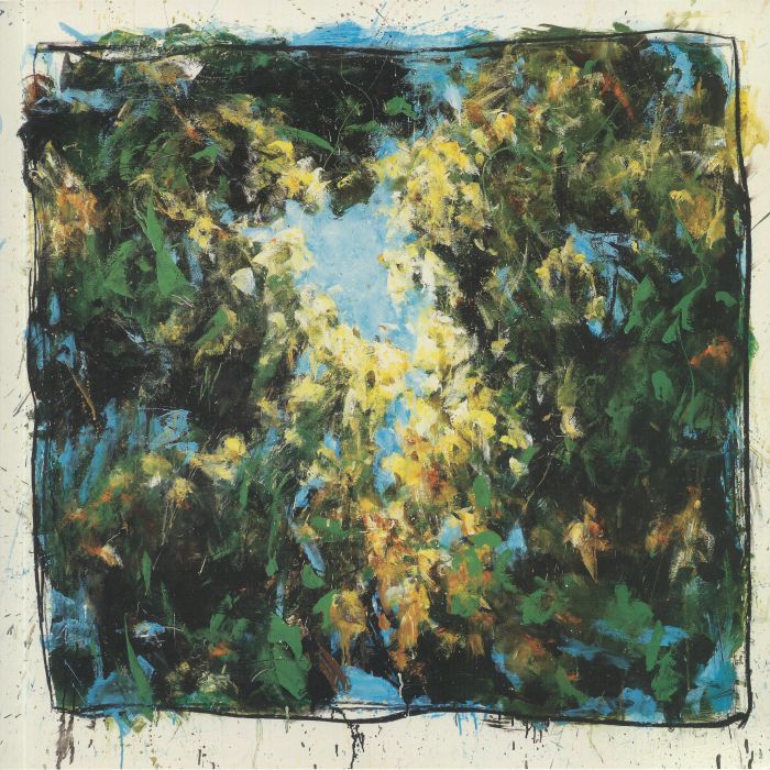 Dugong - Horizions Sauvages