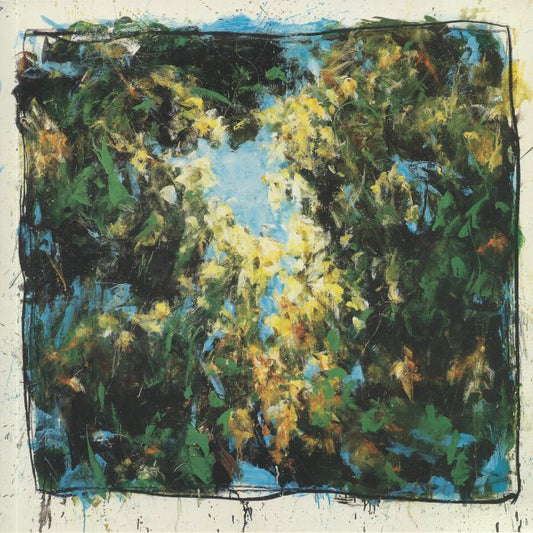 Dugong - Horizions Sauvages