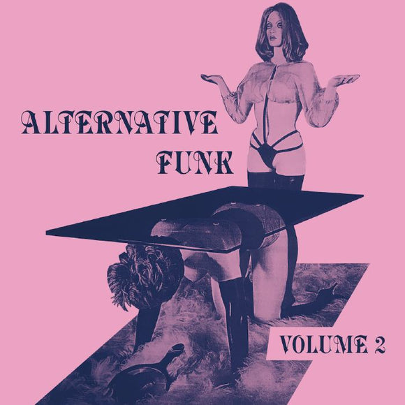 VARIOUS - Alternative Funk: Volume 2 (reissue)