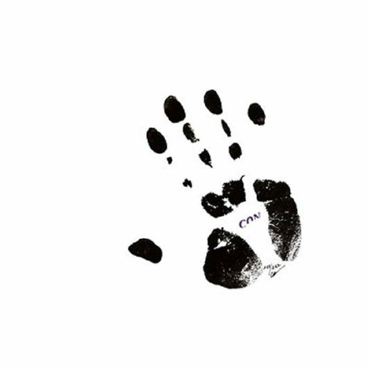 CONRAD SCHNITZLER - CON 84 [CD]