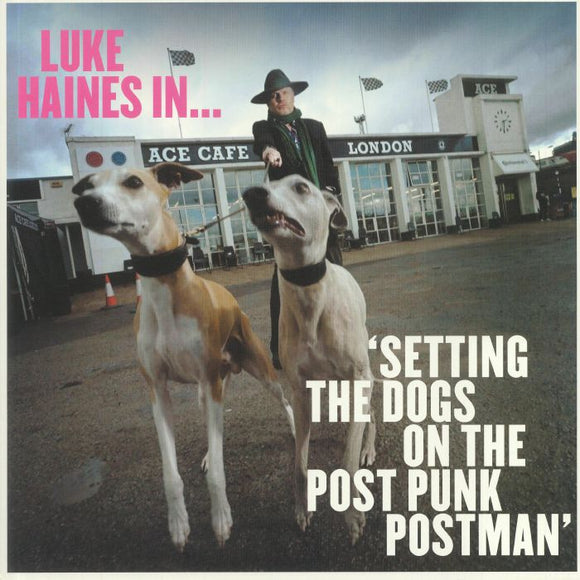 Luke Haines - Luke Haines In Setting The Dogs On The Post Punk Postman