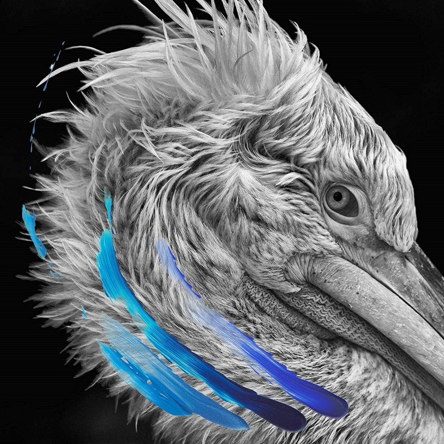 LIES - Lies [Electric Blue w/ Orange and Red Splatter Vinyl]