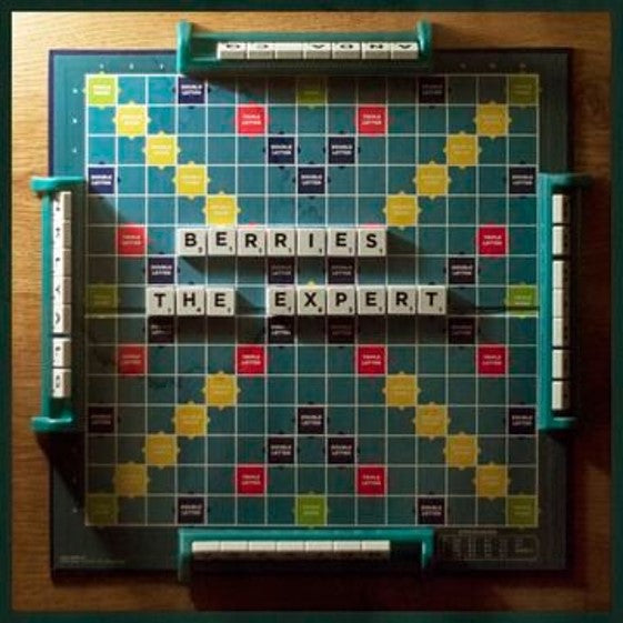 Berries - The Expert [Flexi Disc]