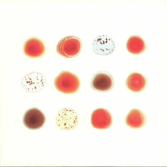 Peter Gabriel - Scratch My Back and I'll Scratch Yours (2LP)