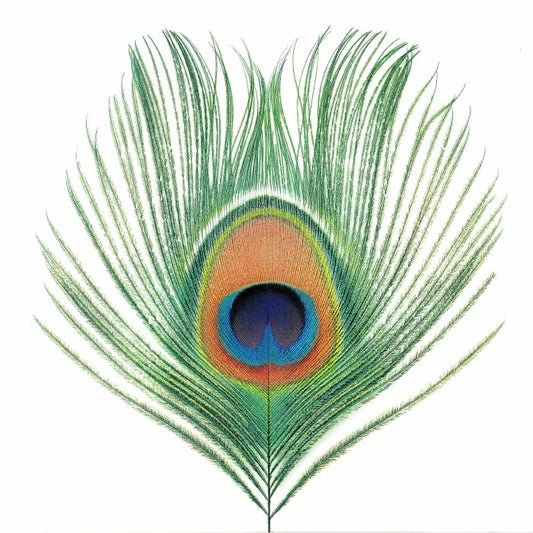 XTC - Apple Venus Vol 1 (1LP/200g)