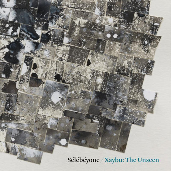 Steve Lehman & Selebeyone - Xaybu: The Unseen [CD]
