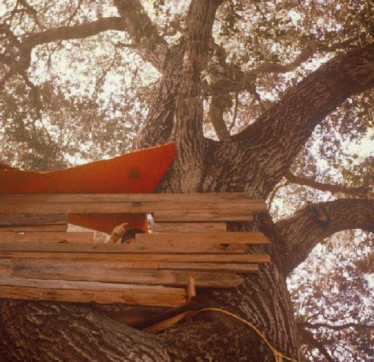 The Backseat Lovers - Waiting to Spill [CD]