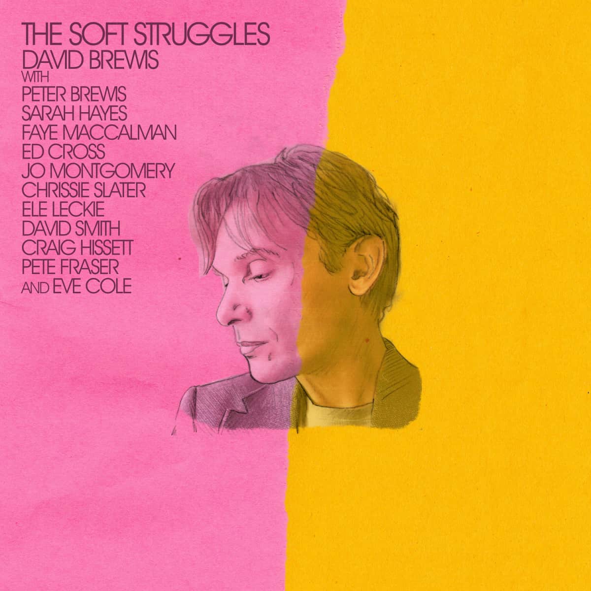 David Brewis - The Soft Struggles [LP]