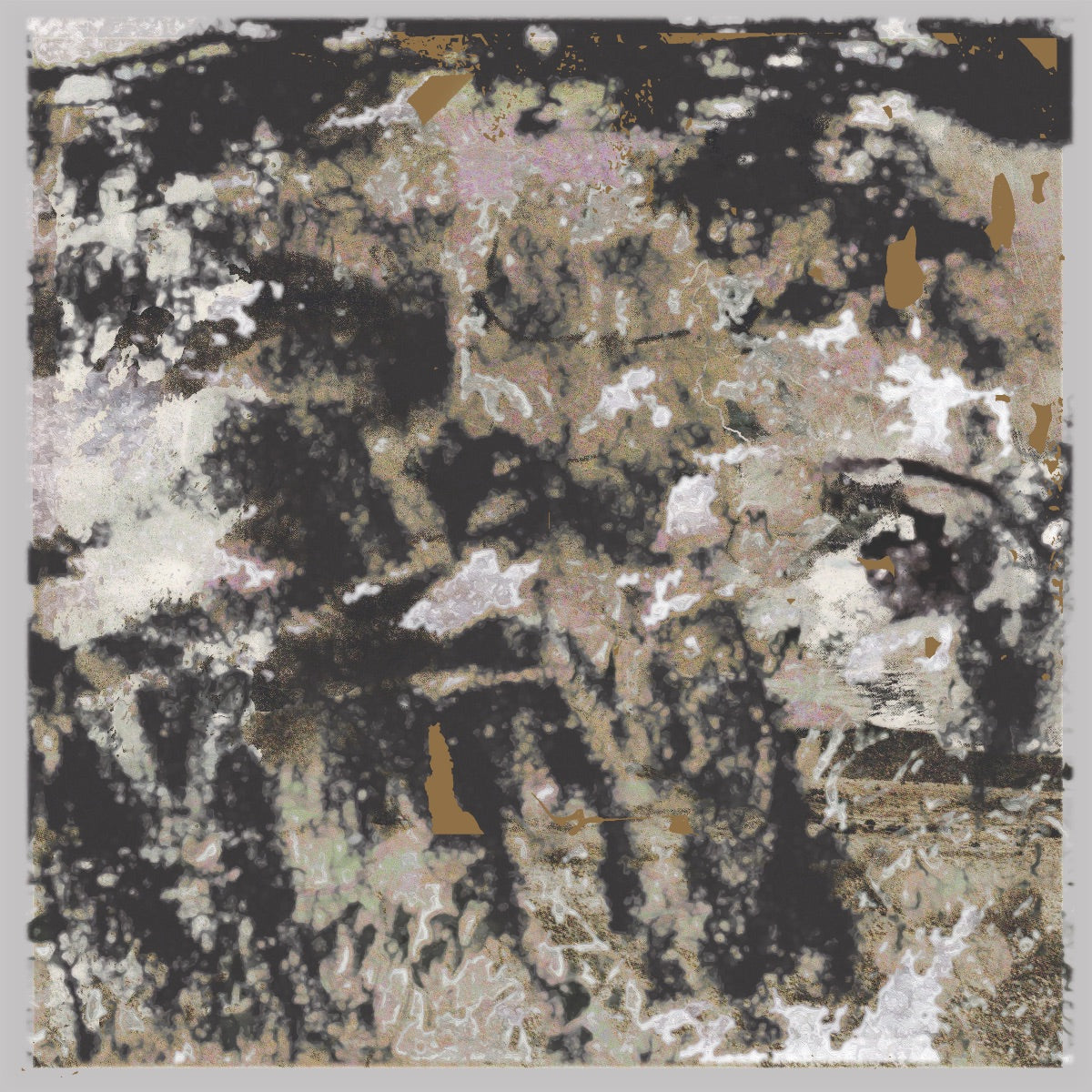 Loraine James - Building Something Beautiful For Me [LP]