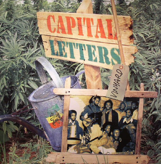 CAPITAL LETTERS - VINYARD [LP]
