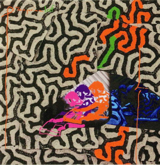 ANIMAL COLLECTIVE - TANGERINE REEF [CD]