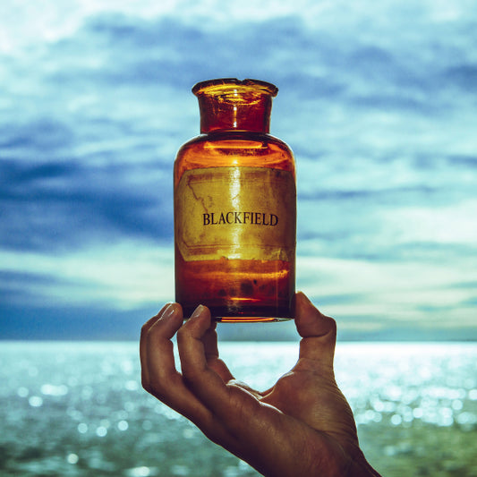 Blackfield - Blackfield V [CD]