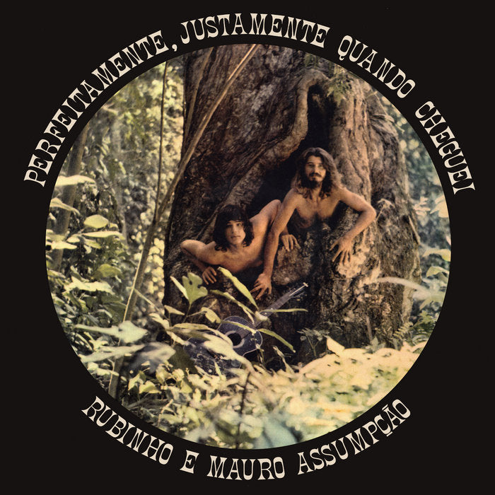 Rubinho E Mauro Assumpcao - Perfeitamente, Justamente Quando Cheguei [LP]