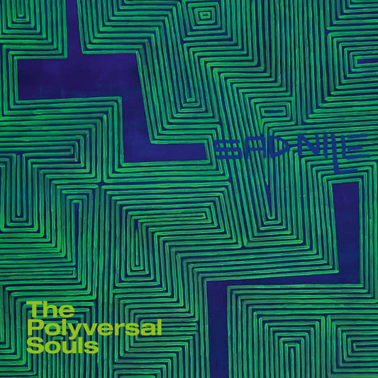The Polyversal Souls - Sad Nile