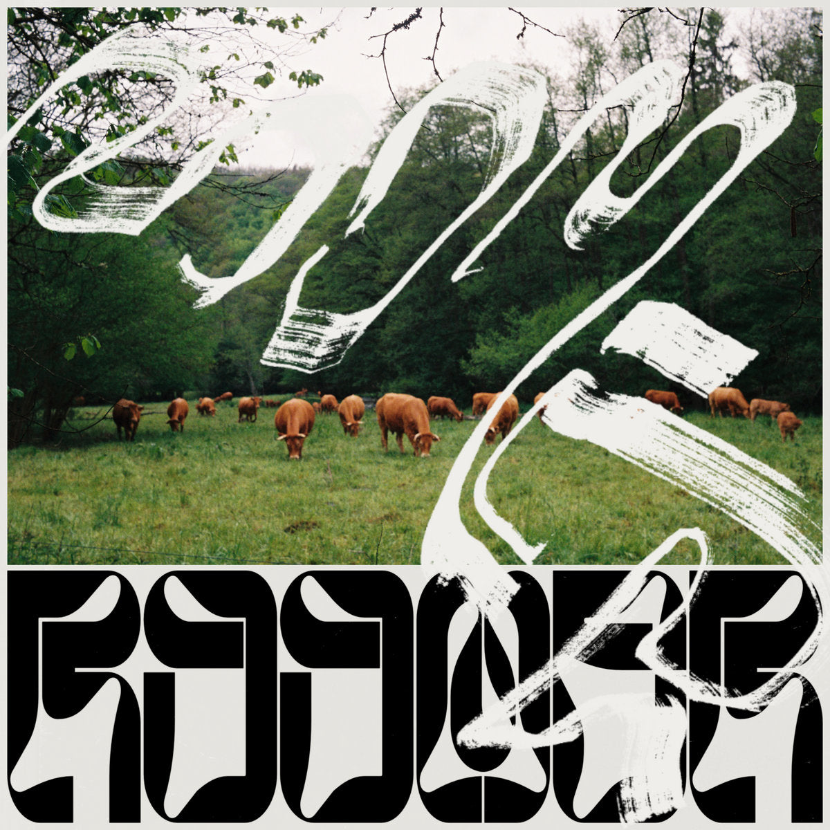 ROOMER - SKICE