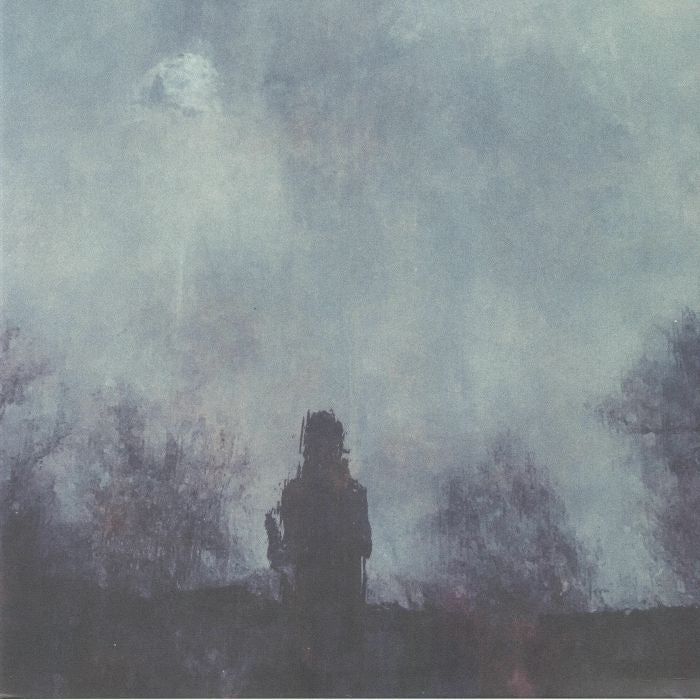 STRAY THEORIES - ALL THAT WAS LOST [LP]